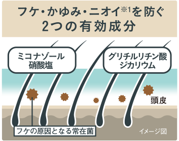 2つの有効成分がフケ・かゆみ・ニオイ※1を防ぐ!