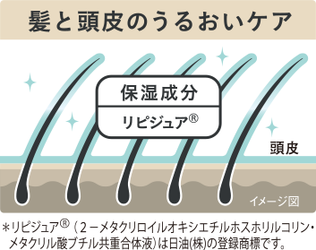 髪と頭皮にうるおいを与えて乾燥を防ぐ!保湿成分「リピジュア®」配合